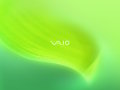 Vaio - Tender Green 2007
