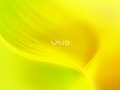 Vaio - Tender Yellow 2007