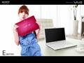 Vaio - 2010 Taiwan - E Series