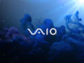 Vaio - 2011 Series