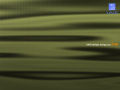 Vaio - 5th Anniversary