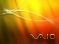 Vaio - Autumn - Daytime