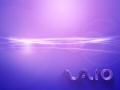 Vaio - Autumn - Morning