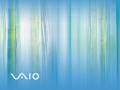Vaio - Bamboo