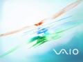 Vaio - Bright Color
