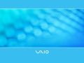 Vaio - C Series - Blue