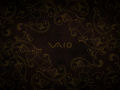 Vaio - Brown Lizard