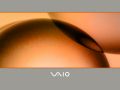 Vaio - C Series - Gray