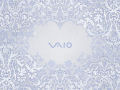Vaio - Silver Lizard