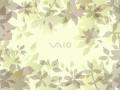 Vaio - CR Series - Gray