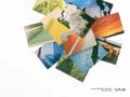 Vaio - Vol. 11: Media Gallery