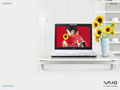 VAIO FE Series