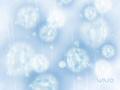 Vaio - Frost