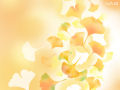 Vaio - Ginkgo
