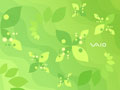 Vaio - Green Leaves