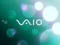 Vaio - Grid