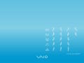 Vaio - Health