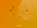 Vaio - History - 1999