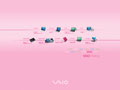 Vaio - History - 2005