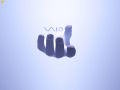 Vaio - In Your Hand