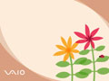 Vaio - ladybug