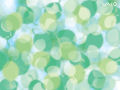 Vaio - Leaves