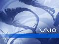 Vaio - Lithograph