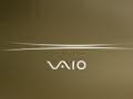 Vaio - LunaBrown