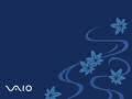 Vaio - Maple