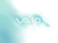 Vaio - Mist