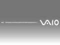Vaio - Mono