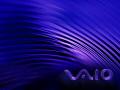 Vaio - Spring - Night