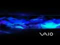 Vaio - Structure