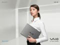 Vaio - SZ Series
