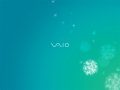 Vaio - Teal Whisper