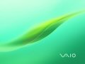 Vaio - Tender Green