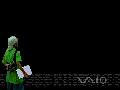 Vaio - Tom's Island Collection