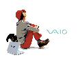 Vaio - Tom's Island Collection