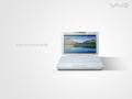 Vaio - TR Series