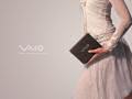 Vaio U101 Series