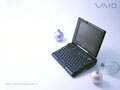 Vaio - Vaio U3