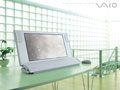 Vaio W Series