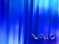 Vaio - Winter - Morning